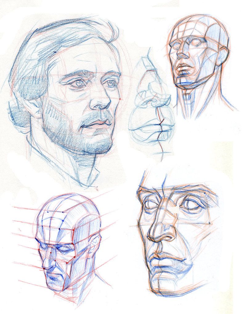 786x1017 The Head Construction Planes And Perspective - Face Construction Drawing