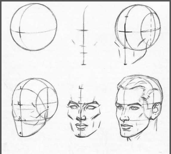 573x517 Andrew Loomis Head Angles Drawing Nattosoup Studio Art - Face Construction Drawing