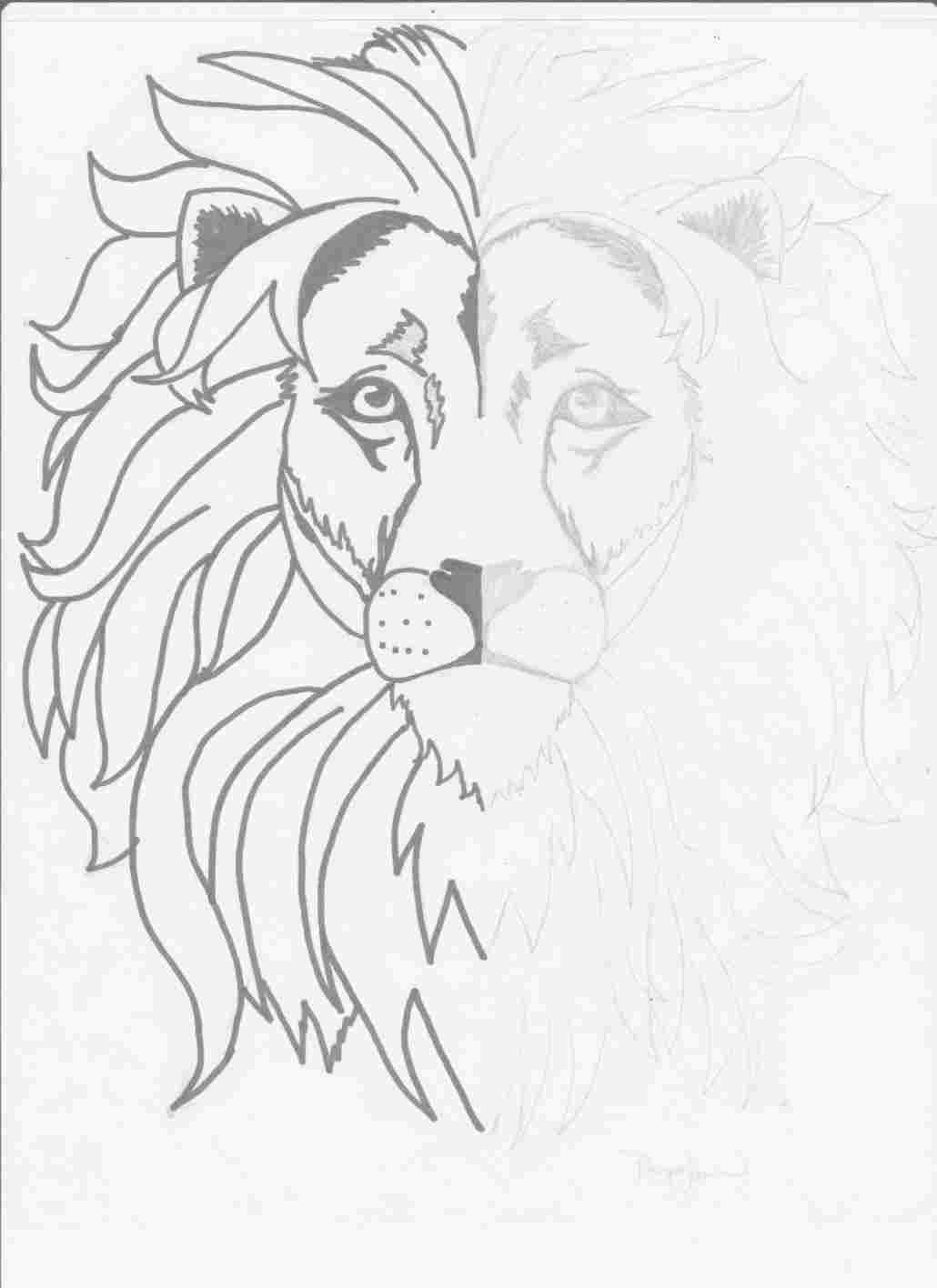 1030x1416 Easy Lion Face Drawing - Face Drawing Easy