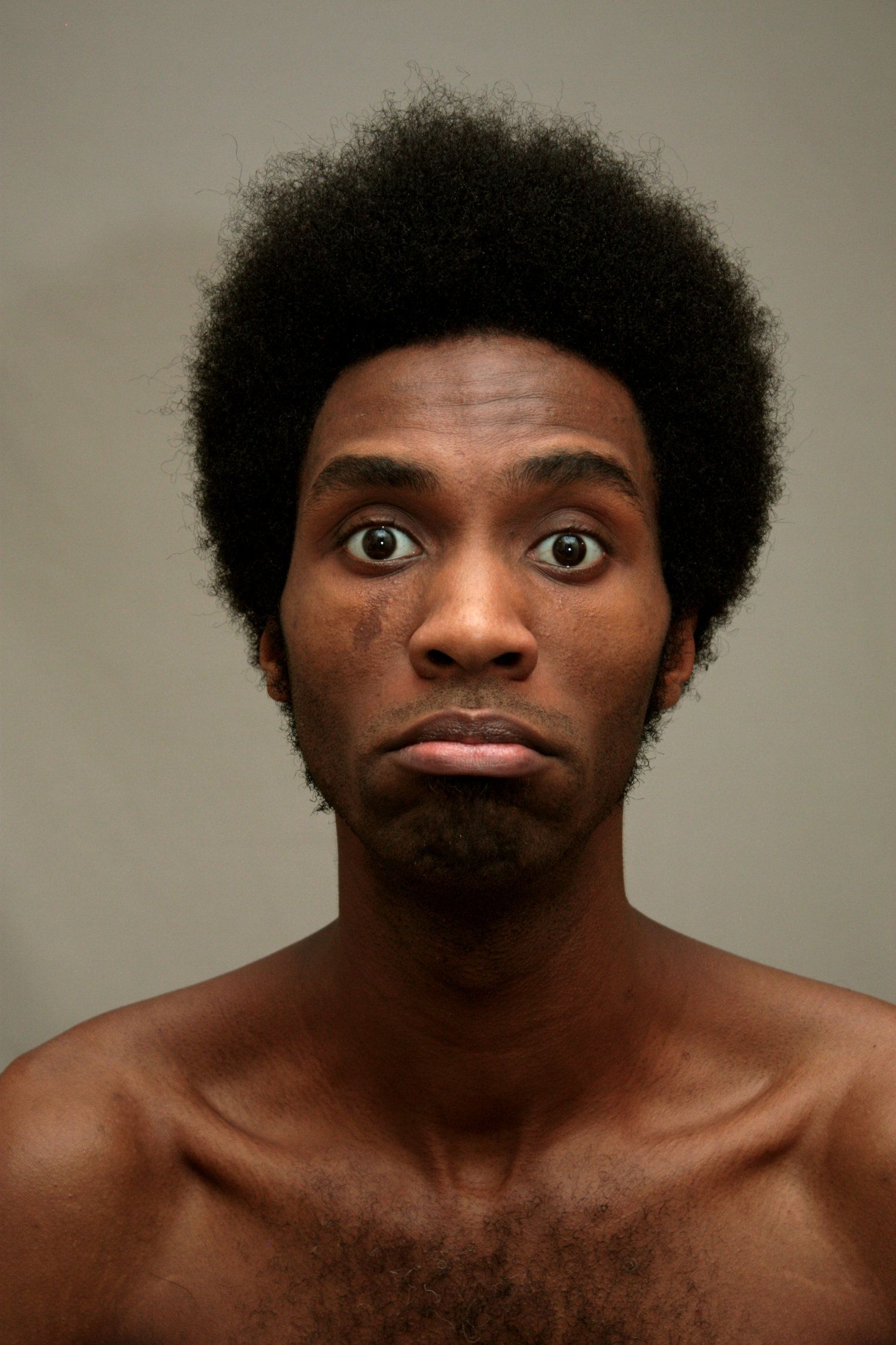 1527x2291 Taming The Wild - Face Drawing Generator