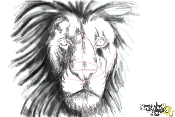 600x400 How To Draw A Lion Face - Face Drawing Images