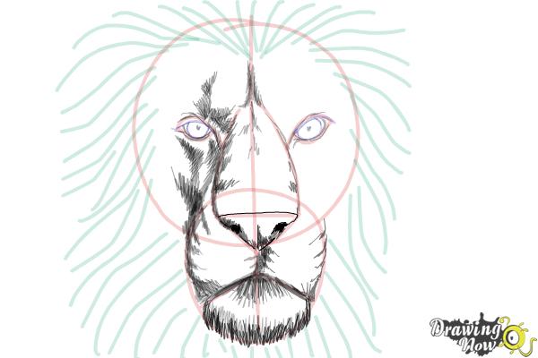 600x400 How To Draw A Lion Face - Face Drawing Pictures