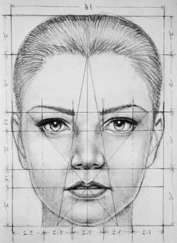 face model for drawing