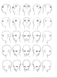 Face Drawing Reference