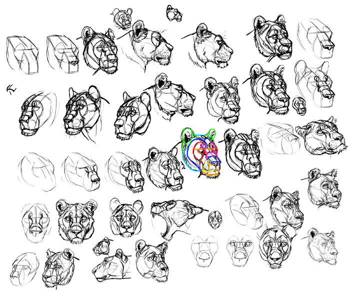 700x597 How To Draw From Imagination Beyond References - Face Drawing Reference