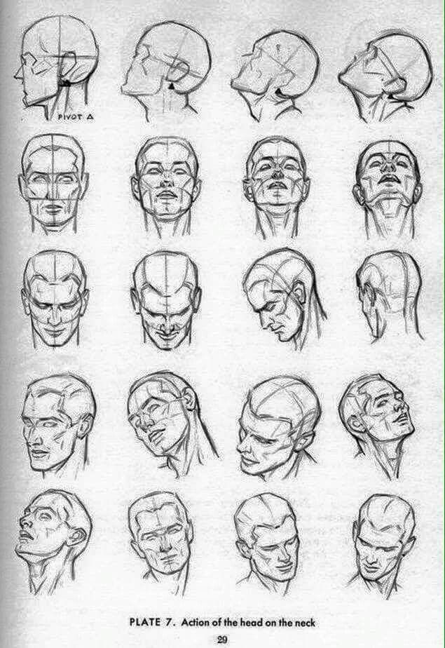 635x924 Facial Reference Drawings, Drawing - Face Drawing Reference