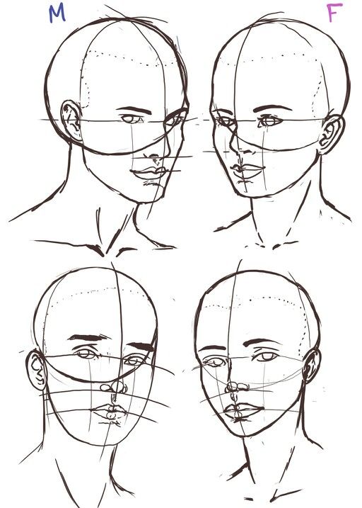 512x717 Drawingrefs In Drawings, Face Drawing - Face Drawing Reference