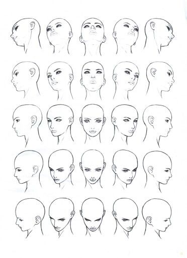 372x514 Female Head Diagram Angle References Art Techniques - Face Drawing Reference