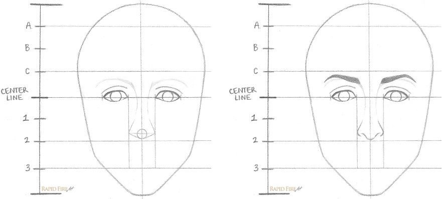 885x397 How To Draw A Female Face In Steps Rapidfireart - Face Drawing Step By Step