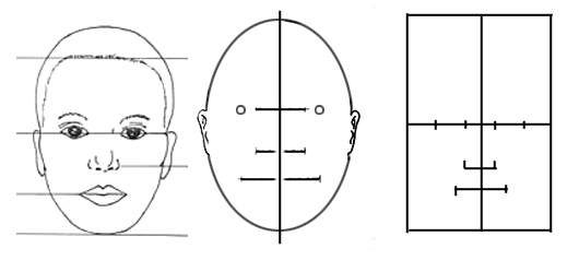 530x238 Gallery Drawing The Face Template - Face Drawing Template