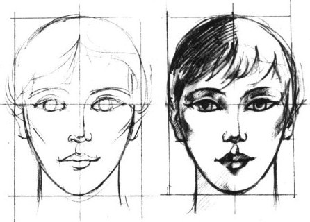 446x320 Get Free Step - Face Drawing Tutorial