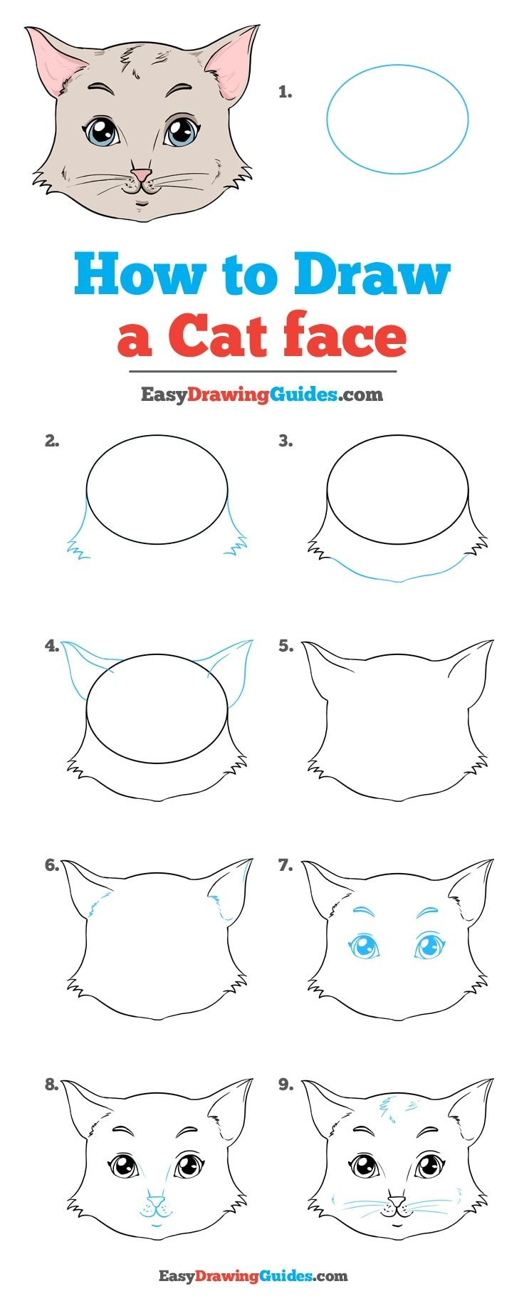 736x1834 Easy To Draw Pictures For Beginners How To Draw A Cat Face Really - Face Easy Drawing
