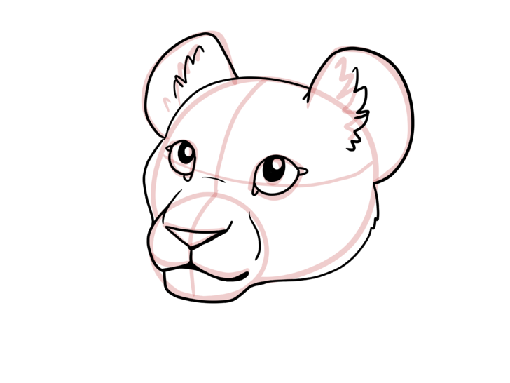 728x546 How To Draw A Lion Cub Steps - Face Of Lion Drawing
