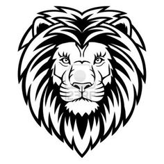 236x236 lion king pics lion head drawing, lion face drawing, lion drawing - Face Of Lion Drawing