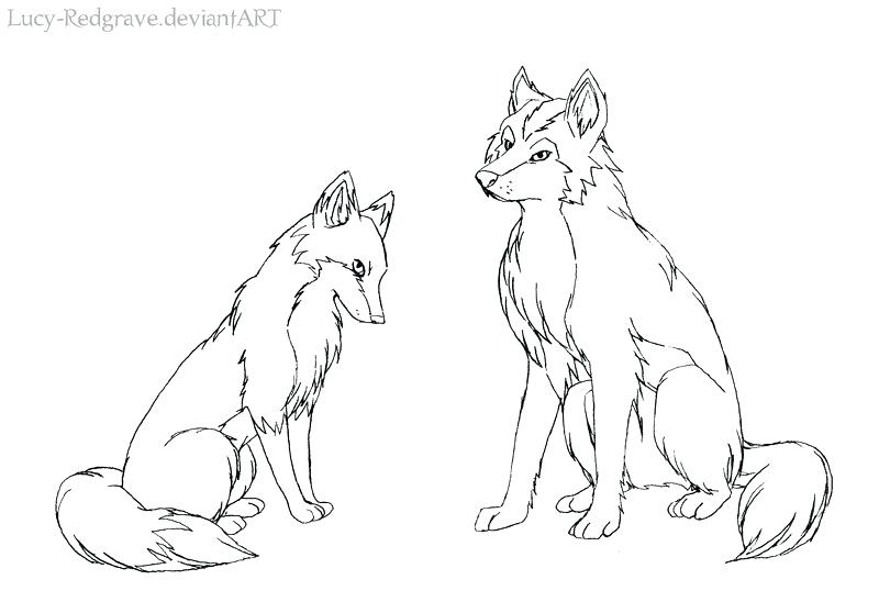 800x548 Wolf Outline Drawing - Face Outline Drawing