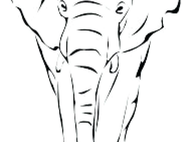 640x480 Elephant Face Outline Simple Elephant Outline Download Interesting - Face Outline Drawing