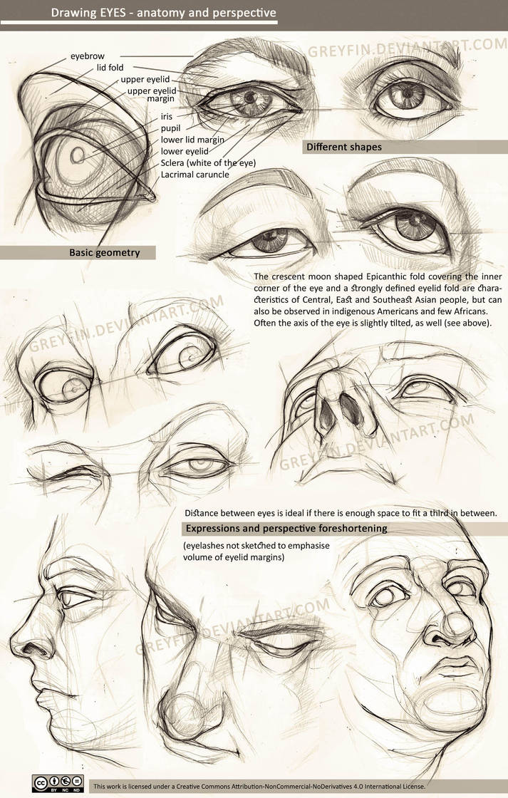 713x1120 Drawing Eyes - Face Perspective Drawing