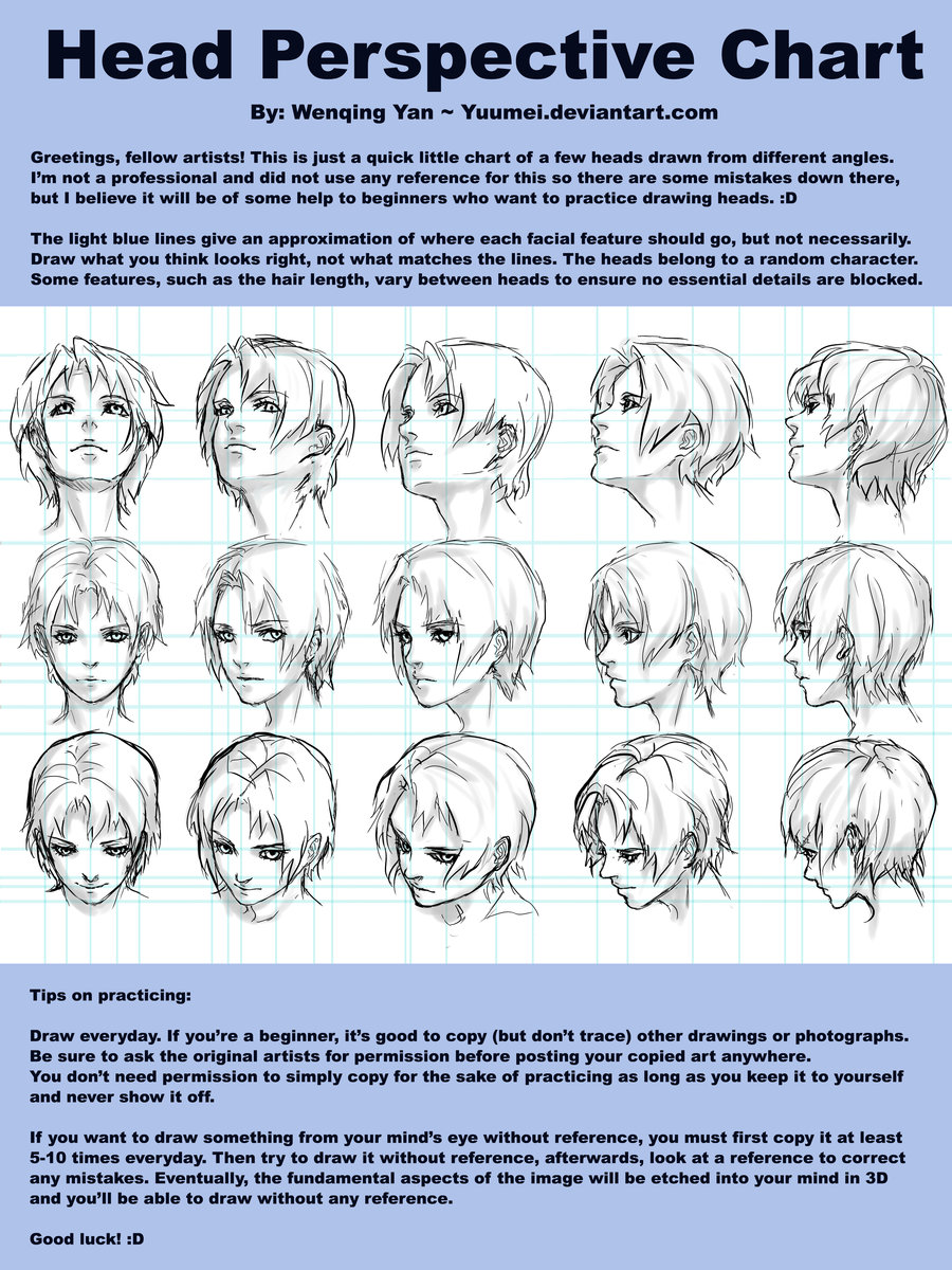 900x1200 Head Perspective Chart Yuumei - Face Perspective Drawing