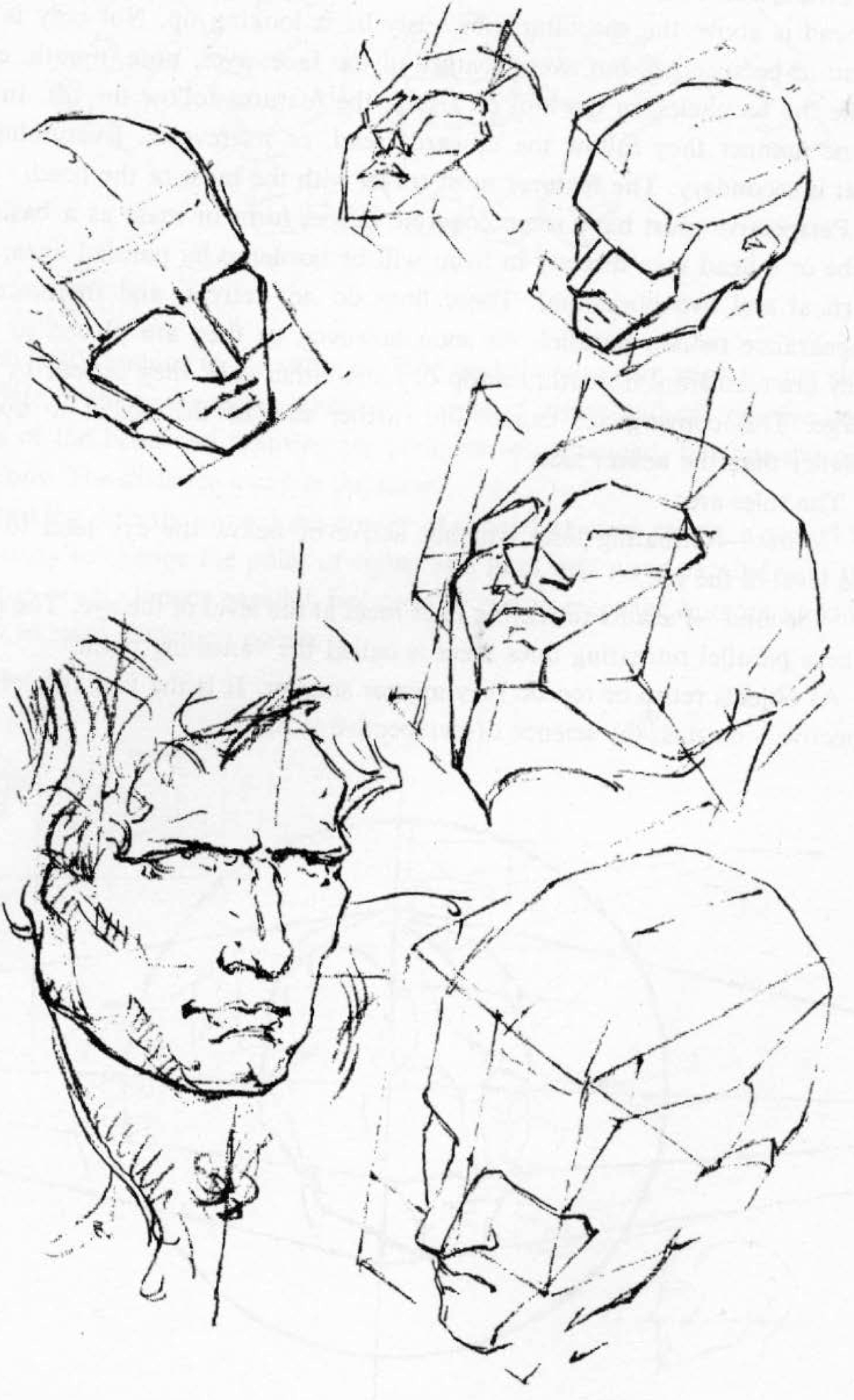 Face Perspective Drawing at Explore collection of