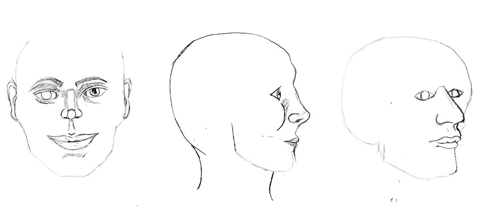 1000x418 Learning To Draw The Skull, Muscles Face My Drawing Journey - Face Perspective Drawing