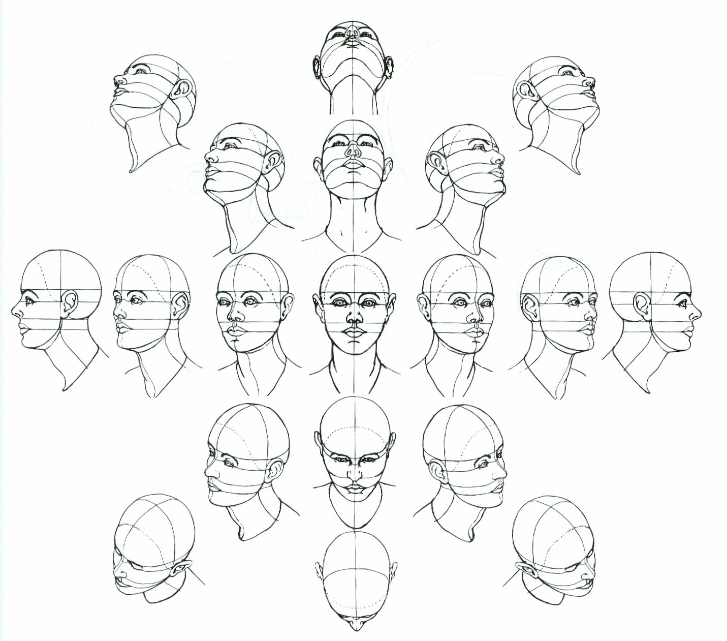 1431x1261 Head Perspective Full Drawing Lessons Drawings, Art, Brain Drawing - Face Perspective Drawing