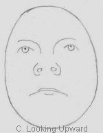 150x194 Drawing Faces - Face Perspective Drawing