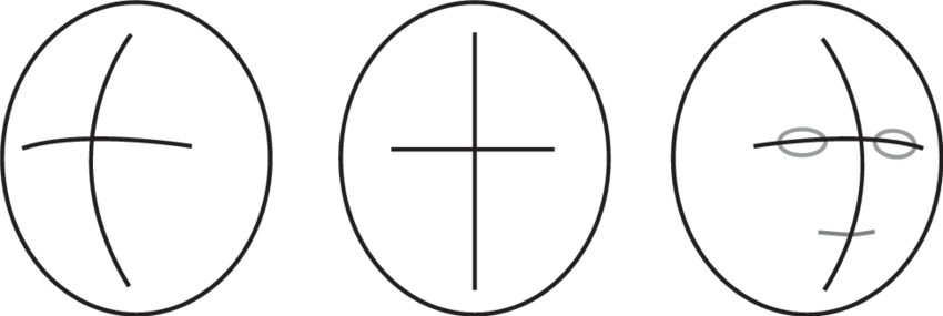 850x285 The Traditional European Schema For Drawing A Three Dimensional - Face Positions Drawing