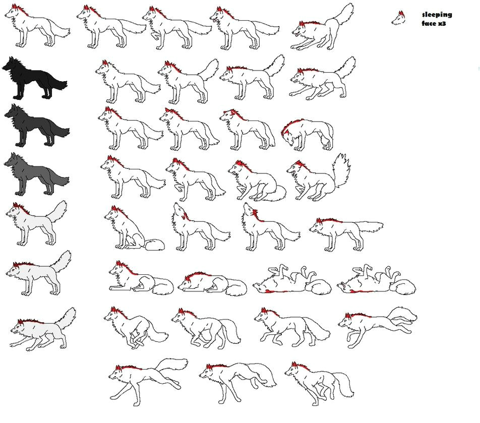 952x839 Wolf Drawing Positions Wolf Positions Art Other Wolf - Face Positions Drawing