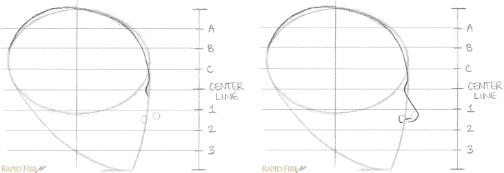 731x252 How To Draw A Female Face - Face Profile Drawing