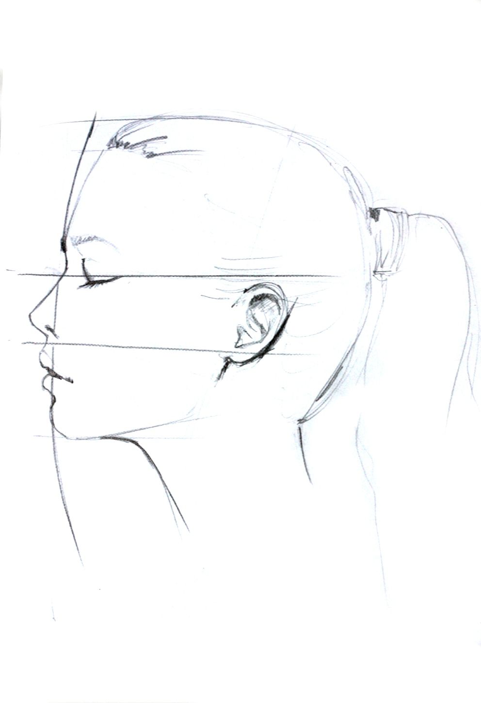 992x1448 Profile Drawing - Face Profile Drawing