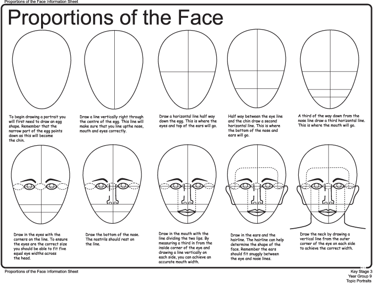 754x573 face proportions - Face Proportions Drawing