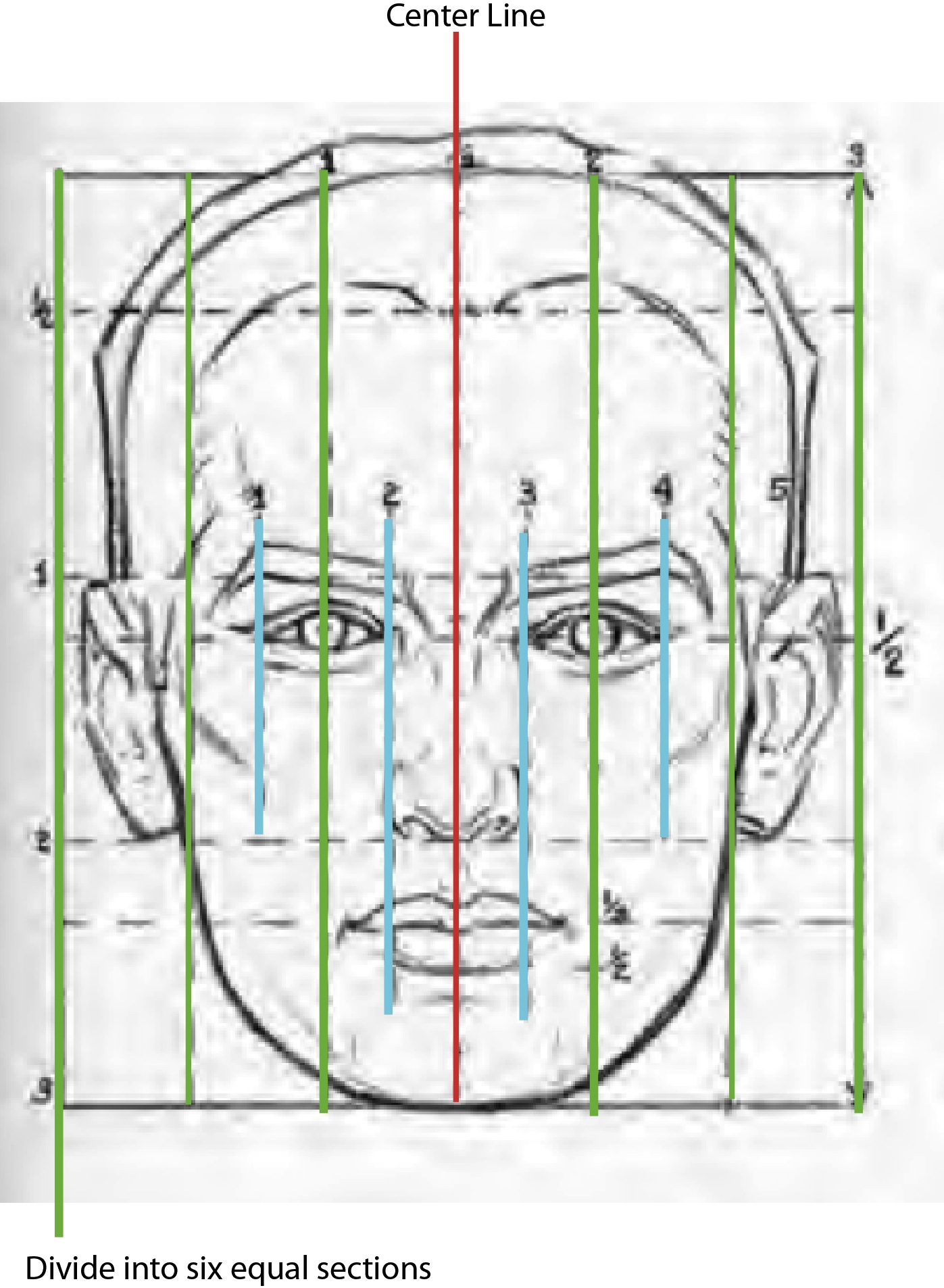 1397x1906 facial proportions and sculpting a face beginner's school - Face Proportions Drawing