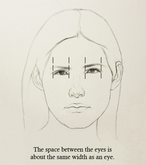 467x528 proportions of the face - Face Proportions Drawing