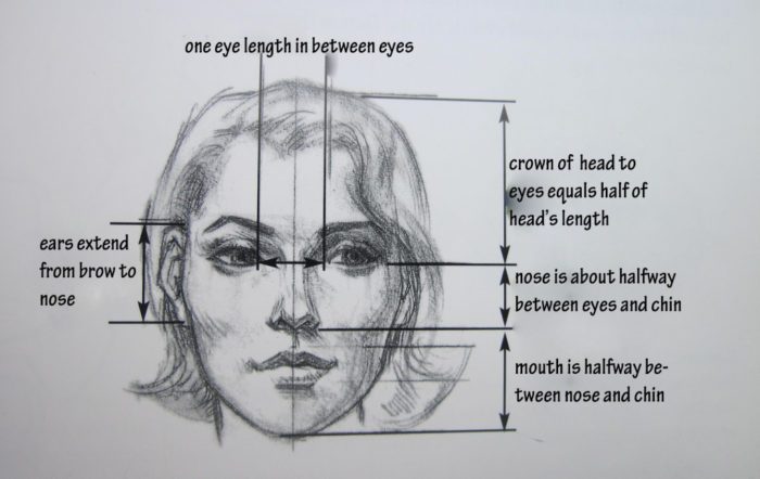 700x442 drawing a face proportions creating with kaiser drawing facial - Face Proportions Drawing