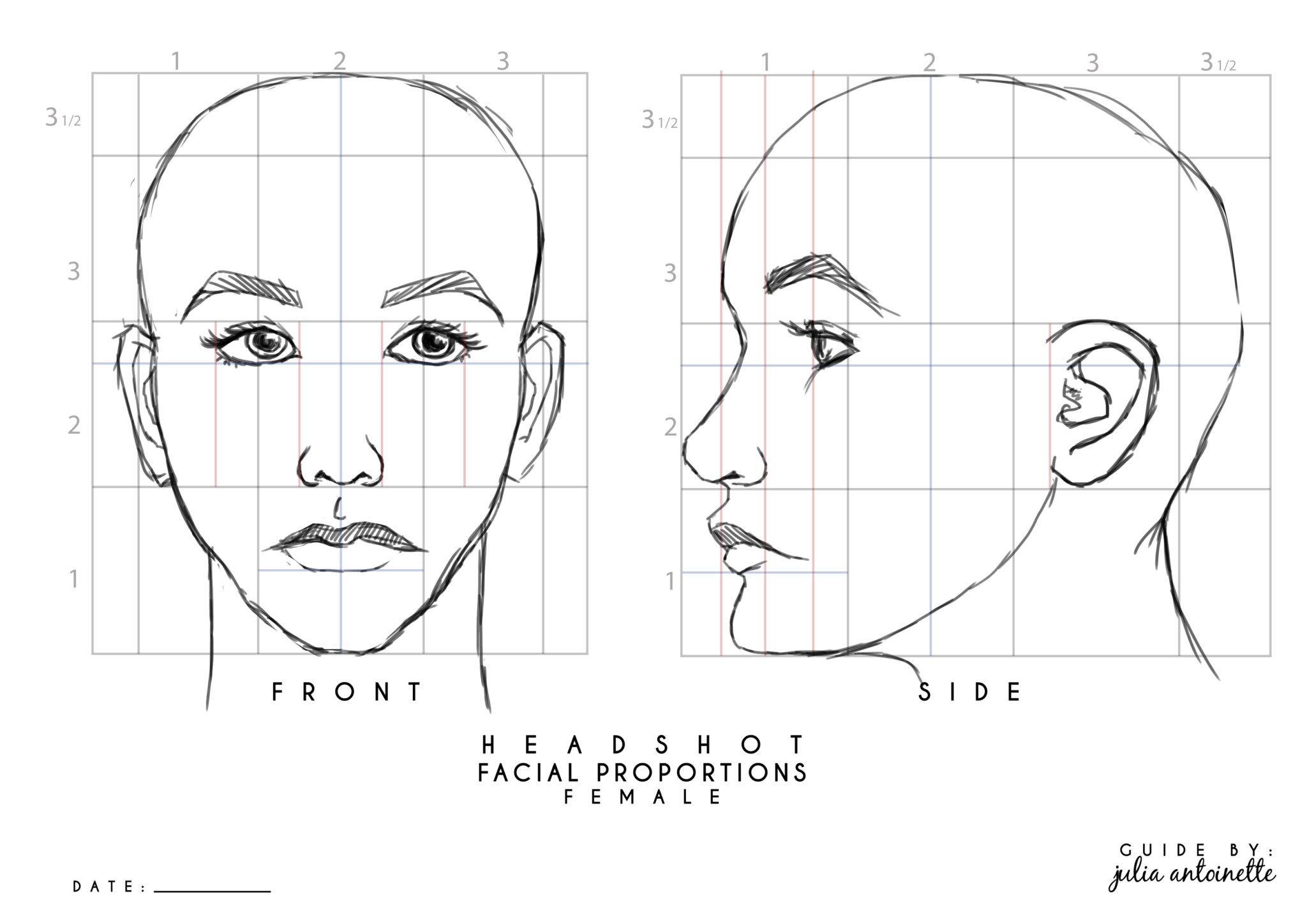 Face proportion