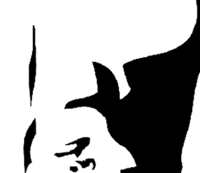 400x345 Caricature Newsletter April - Face Shadow Drawing