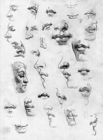 355x480 image spark - Face Study Drawing