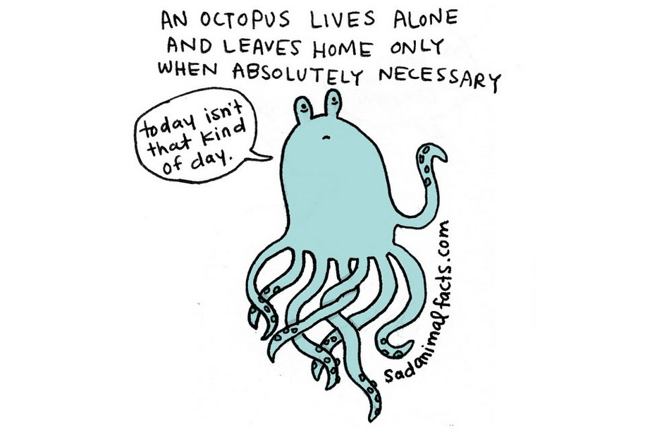 915x608 sad animals facts that'll make you slightly depressed - Facts Drawing