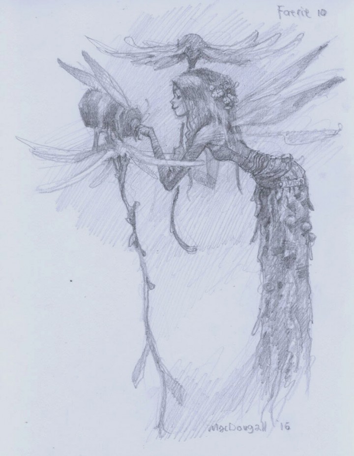 720x926 Fantasy Characters With Larry Macdougall Faerie In Flight - Faerie Drawing