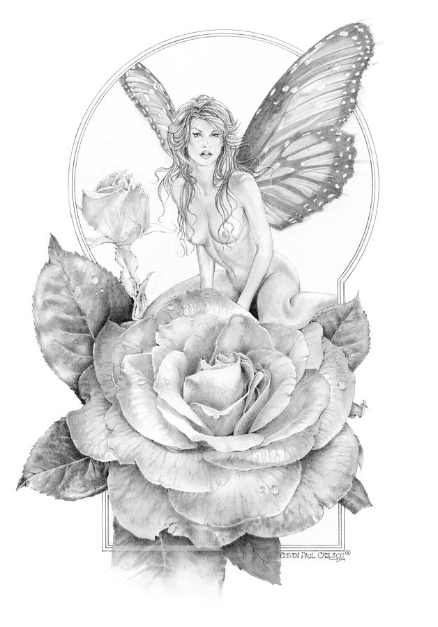 628x900 Summer Faerie - Faerie Drawing