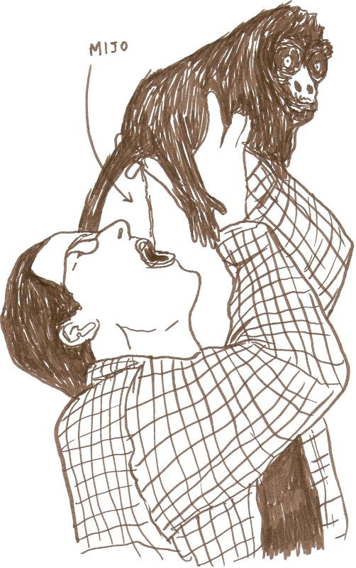 502x800 editorial project + laica fair - Fair Drawing