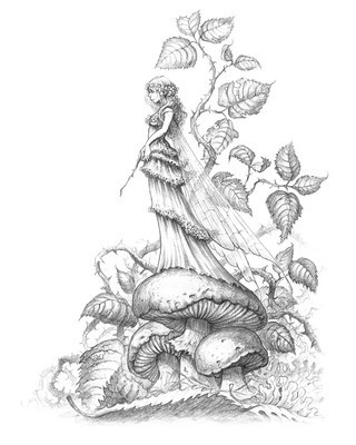 320x400 pascal moguerou original fairy drawing from france - Fairy Drawing