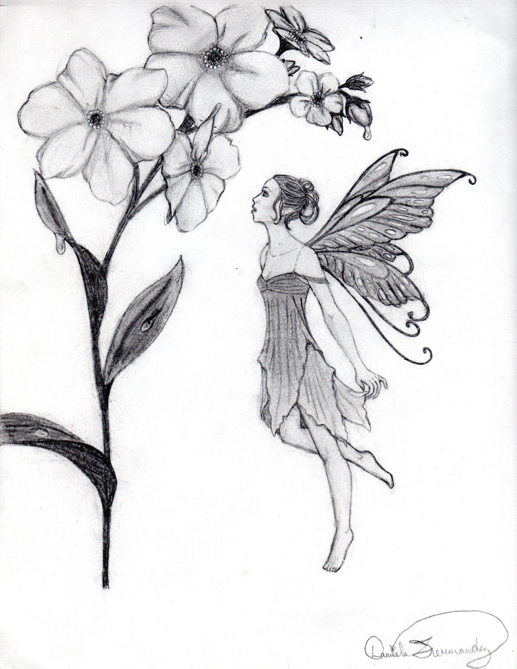 1696x2195 fairy drawing valid flower fairy drawings flower fairy drawings.....