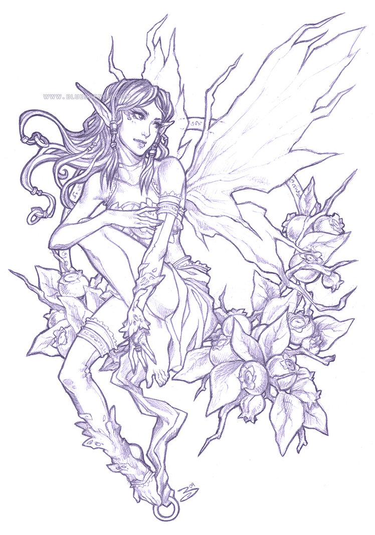 748x1067 Beautiful Pencil Sketches Of Fairies Fairies Drawing - Fairy Drawi...