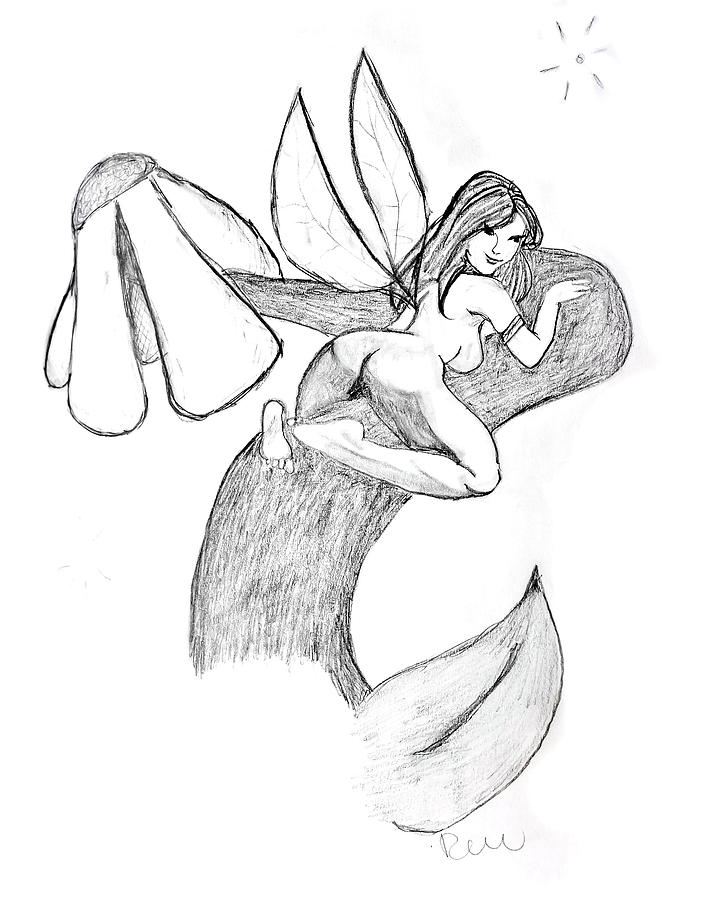 Believe In Fairies Drawing - Fairy Drawing Images. 