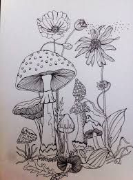 Fairy Garden Drawing at PaintingValley.com | Explore collection of