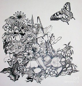 285x300 Nature's Nap Drawing - Fairy Garden Drawing