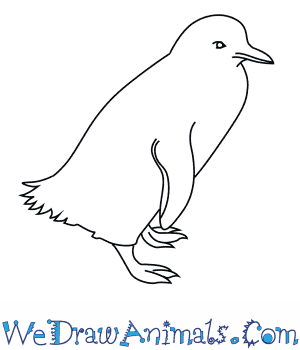 300x350 How To Draw A Fairy Penguin - Fairy Line Drawing