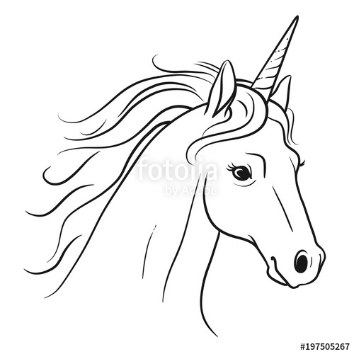 500x500 Unicorn Head With Flowing Mane Hand Drawn Black And White Pen - Fairy Line Drawing