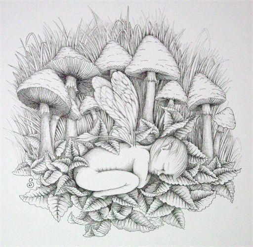 512x500 Worlds Of Imagination - Fairy Line Drawing